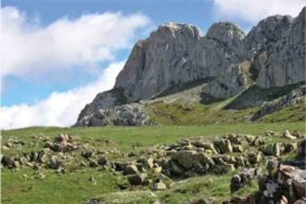 Babia