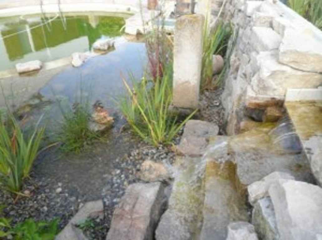 Piscina ecológica